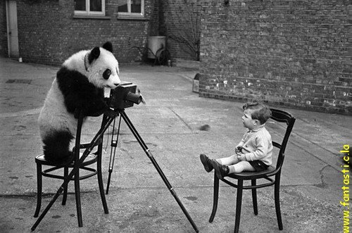 panda_camera